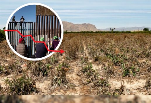 El campo es abandonado tras migración de veracruzanos, faltan apoyos: investigador