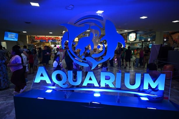 Aquarium de Veracruz: este es el link para conseguir tus boletos gratis para el 11 de febrero