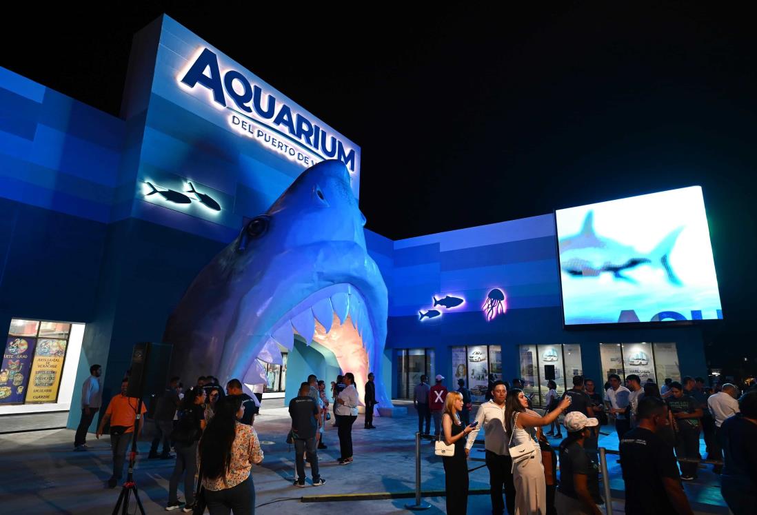 Aquarium de Veracruz: este es el link para conseguir tus boletos gratis para el 11 de febrero