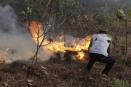 Ante temporada cálida en Veracruz, llaman a evitar incendios forestales