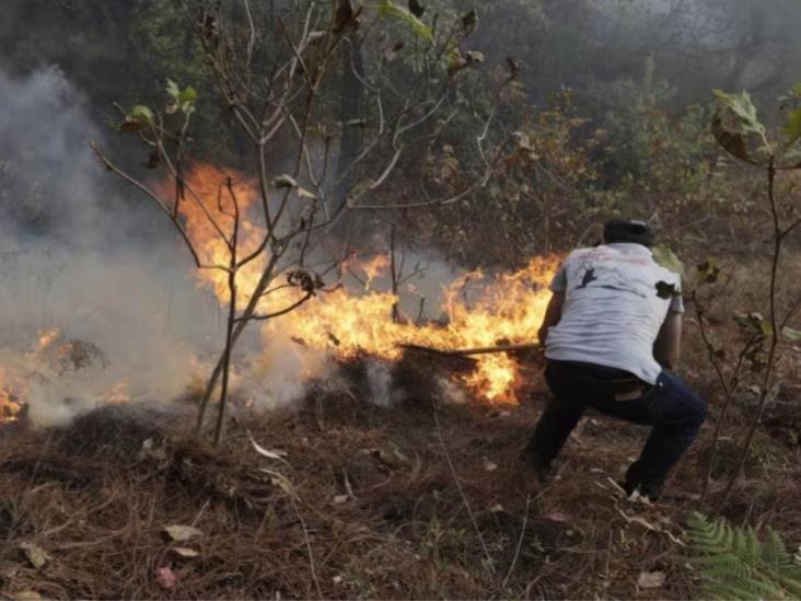 Ante temporada cálida en Veracruz, llaman a evitar incendios forestales