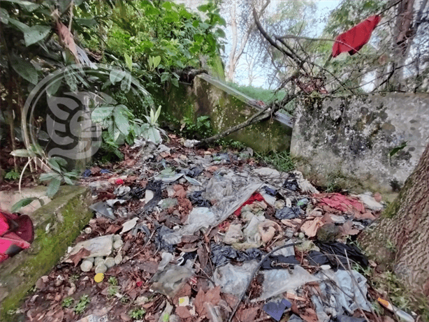 Rayado, olvidado y sucio; así luce el monumento a Miguel Alemán en Xalapa