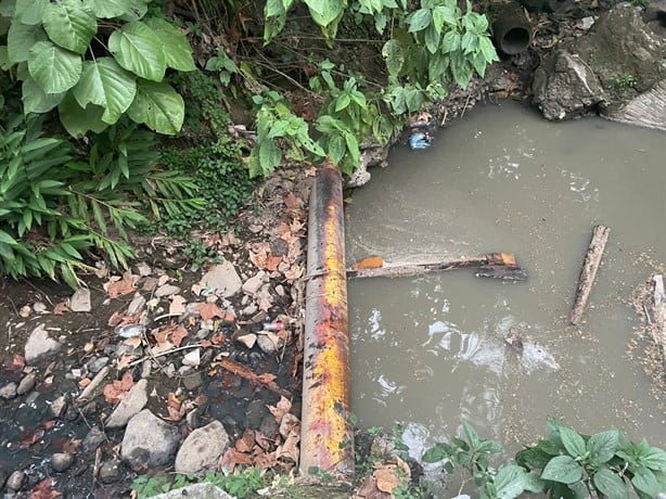 Más de 100 familias en Coatepec atrapadas entre la peste de aguas negras (+VIDEO)