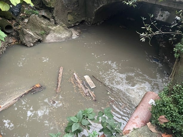 Más de 100 familias en Coatepec atrapadas entre la peste de aguas negras