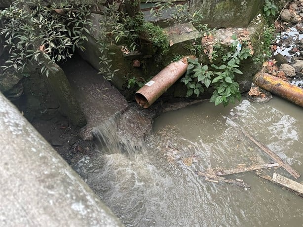 Más de 100 familias en Coatepec atrapadas entre la peste de aguas negras (+VIDEO)