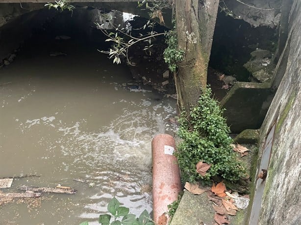 Más de 100 familias en Coatepec atrapadas entre la peste de aguas negras (+VIDEO)