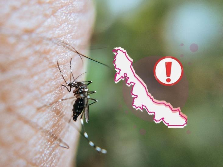 Dengue en Veracruz: segundo lugar nacional en casos y apenas inicia 2025