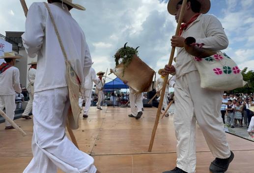 Buscan que Danza de la vaca en Tihuatlán se vuelva patrimonio cultural