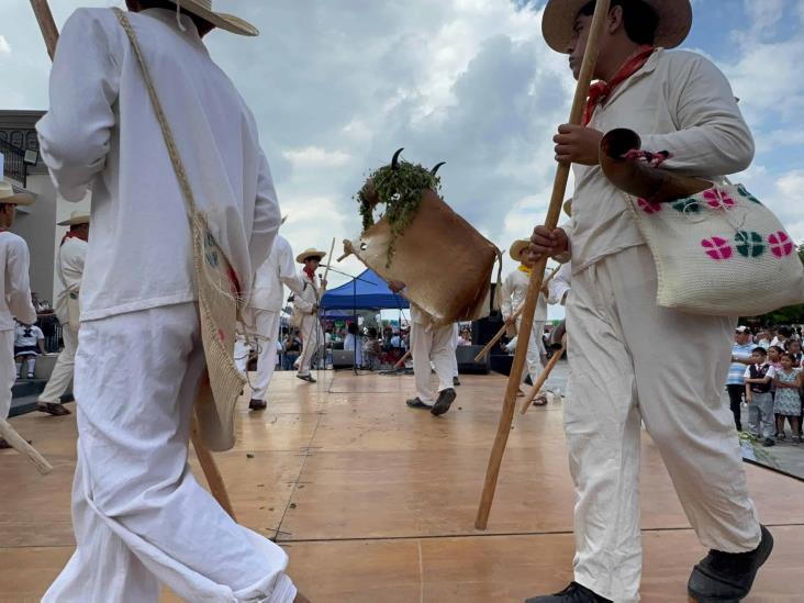 Buscan que Danza de la vaca en Tihuatlán se vuelva patrimonio cultural