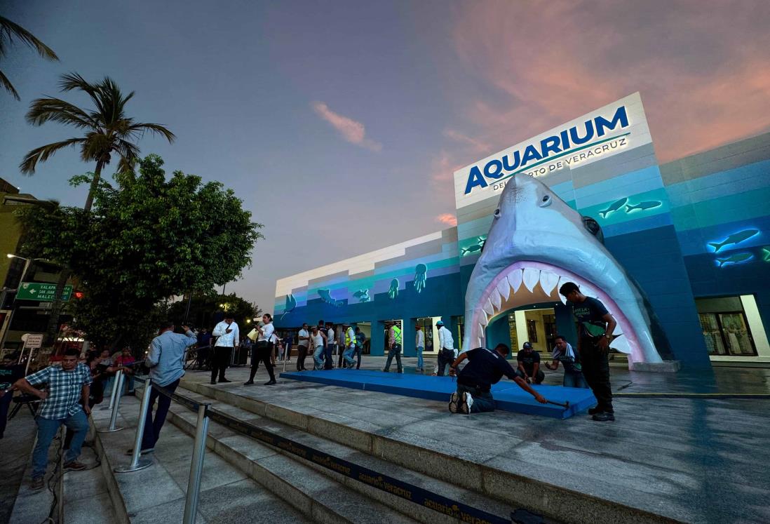 Hoy es el día gratis en el Aquarium de Veracruz, ¿qué áreas puedes visitar?