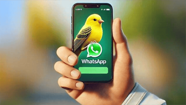 Modo canario en WhatsApp: ¿qué es y cómo activarlo paso a paso?