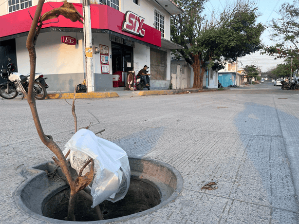 Vecinos de la Reserva Tarimoya denuncian baches y registros sin tapa sin atención