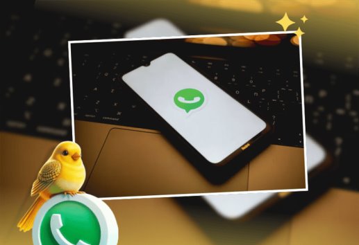Modo canario en WhatsApp: ¿qué es y cómo activarlo paso a paso?
