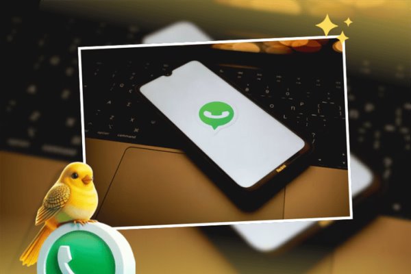 Modo canario en WhatsApp: ¿qué es y cómo activarlo paso a paso?