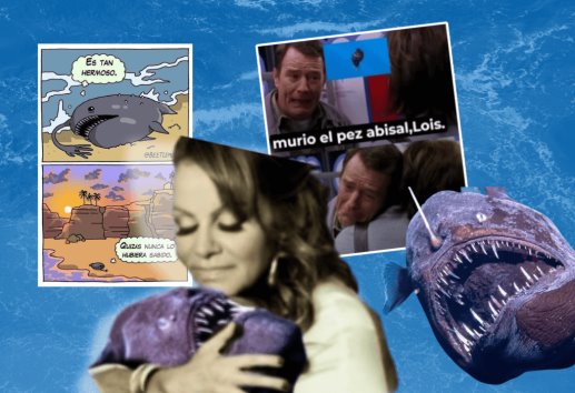 ¿Te los perdiste? Los mejores MEMES por la muerte del pez Diablo