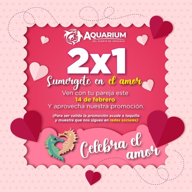 Aquarium de Veracruz: así puedes tener tu cita este 14 de febrero con boletos al 2x1