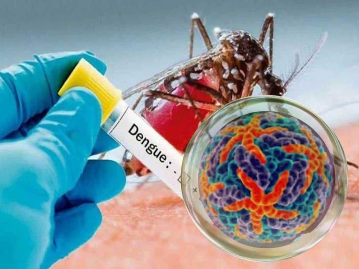 Dengue: ¿por qué el serotipo DENV-3 en México es más peligroso?