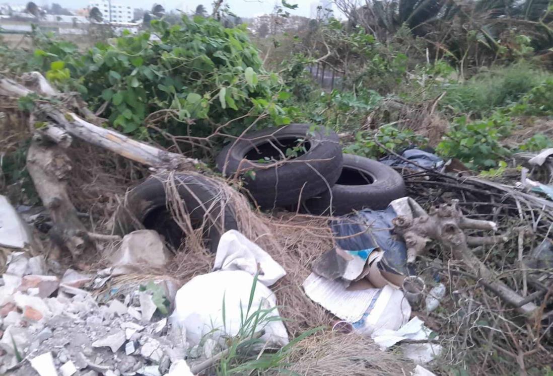 Arrojan basura y hasta muebles en terreno de colonia de Boca del Río