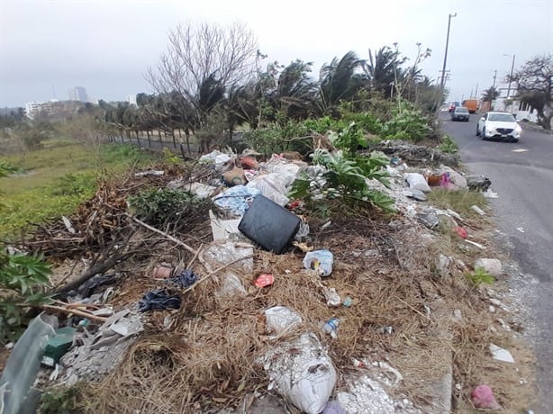 Arrojan basura y hasta muebles en terreno de colonia de Boca del Río