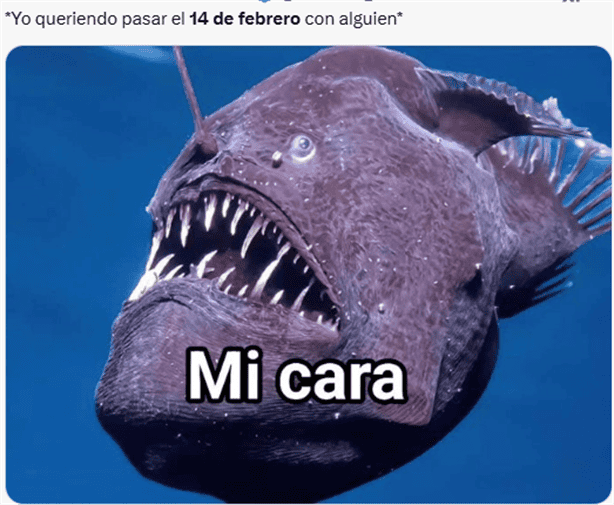 Estos son los mejores MEMES para celebrar el 14 de febrero