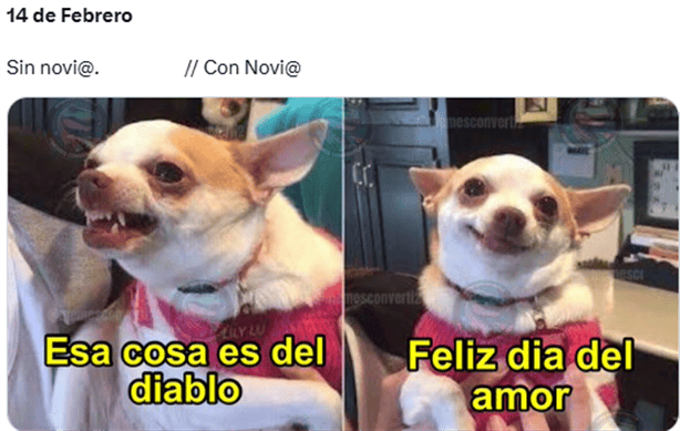 Estos son los mejores MEMES para celebrar el 14 de febrero