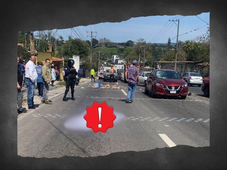 Adulto mayor muere atropellado en la entrada a Coatepec