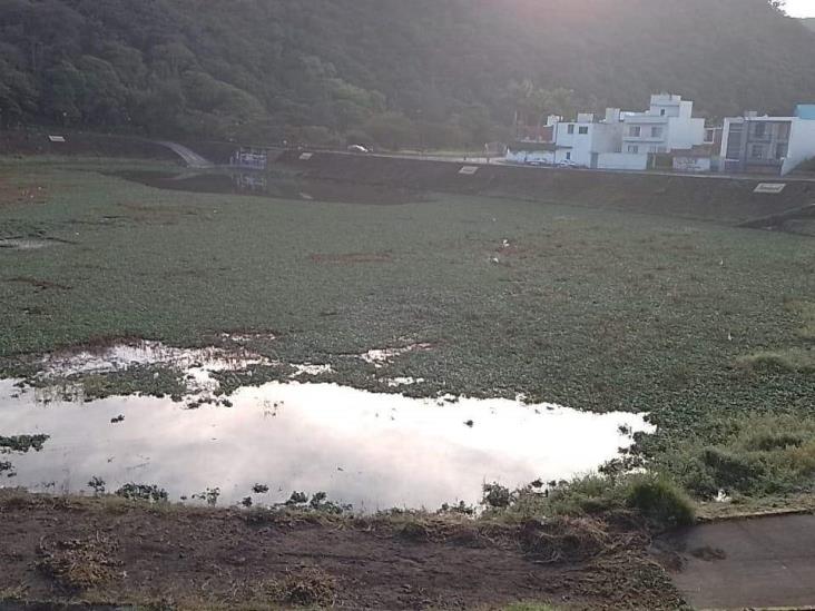 Crisis ambiental en la Laguna de Chirimoyo, en Orizaba, por contaminación de drenaje