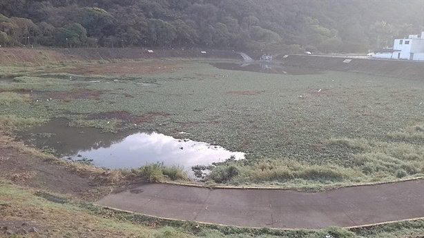 Crisis ambiental en la Laguna de Chirimoyo, en Orizaba, por contaminación de drenaje