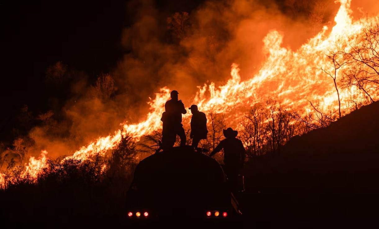 4 consejos para evitar los incendios forestales en Veracruz