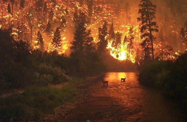 4 consejos para evitar los incendios forestales en Veracruz