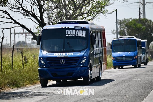 Lanzan nuevos camiones urbanos con clima y WiFi en Veracruz y Boca del Río | VIDEO