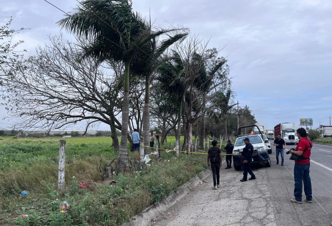 Hallan a hombre sin vida en un árbol a orillas de la carretera Xalapa – Veracruz