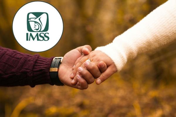 Así puedes dar de alta a tu pareja en el IMSS sin estar casados| Requisitos