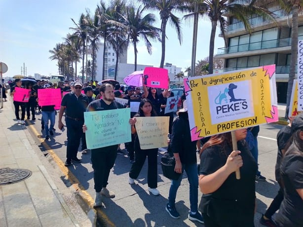 Médicos veterinarios marchan por el bulevar Manuel Ávila Camacho del puerto de  Veracruz