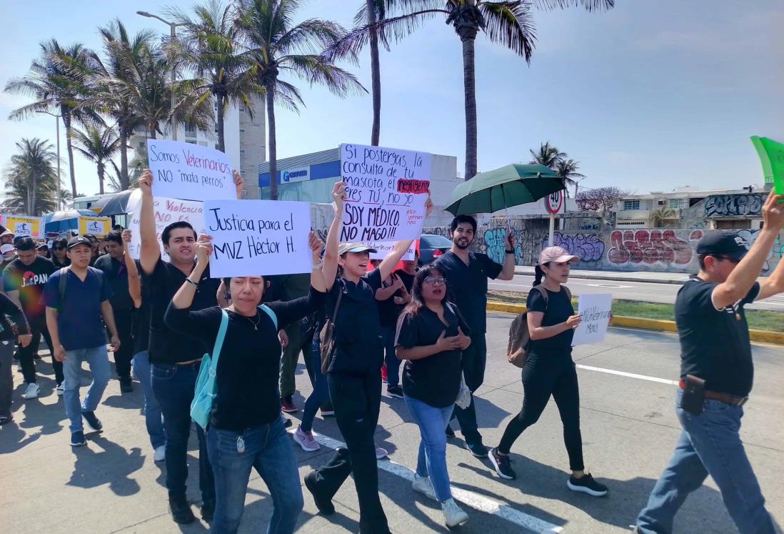 Médicos veterinarios marchan por el bulevar Manuel Ávila Camacho del puerto de  Veracruz