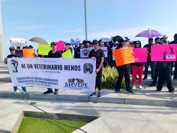 Médicos veterinarios marchan por el bulevar Manuel Ávila Camacho del puerto de  Veracruz