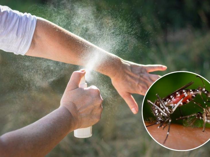 Este es el repelente natural que recomienda la SESVER contra el dengue