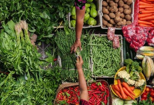 Agrobiodiversidad vegetal, la riqueza que alimenta a México