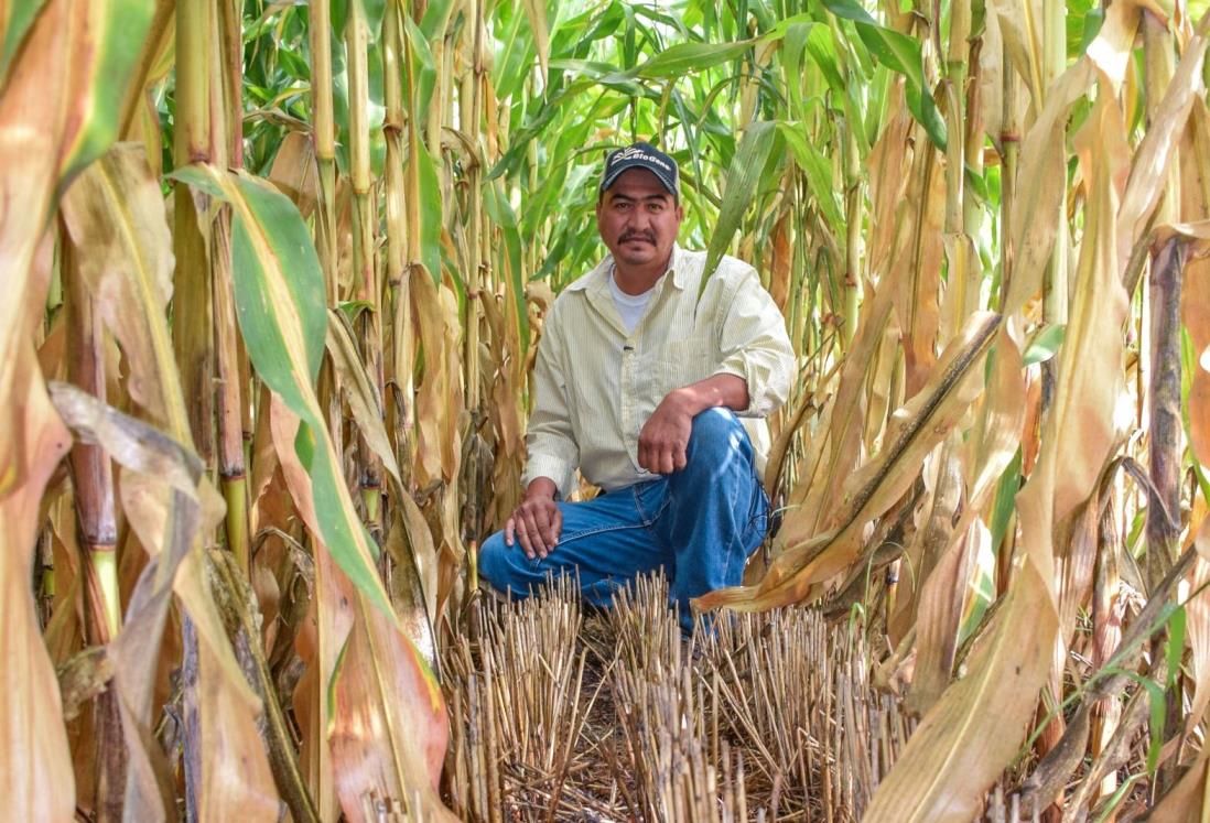 ¿Sabías que este sábado 22 de febrero es el Día del Agrónomo? Te contamos la historia