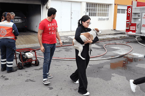 Bomberos salvan a una perrita y evitan incendio de auto en fraccionamiento Virginia de Boca del Río