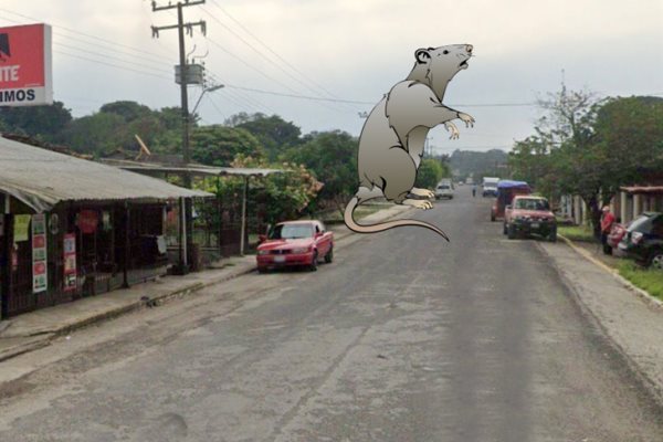 Alertan por banda de ladrones en Misantla; asechan a comunidad Francisco Sarabia