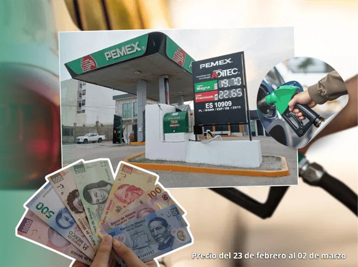 Gasolina en Xalapa: este es el precio del 23 de febrero al 2 de marzo, ¿bajó? 