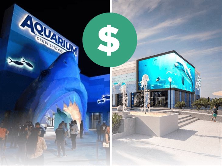 Aquarium de Veracruz: estos son los municipios que tendrán un descuento especial