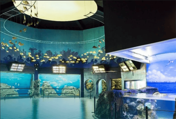 Aquarium de Veracruz: estos son los municipios que tendrán un descuento especial