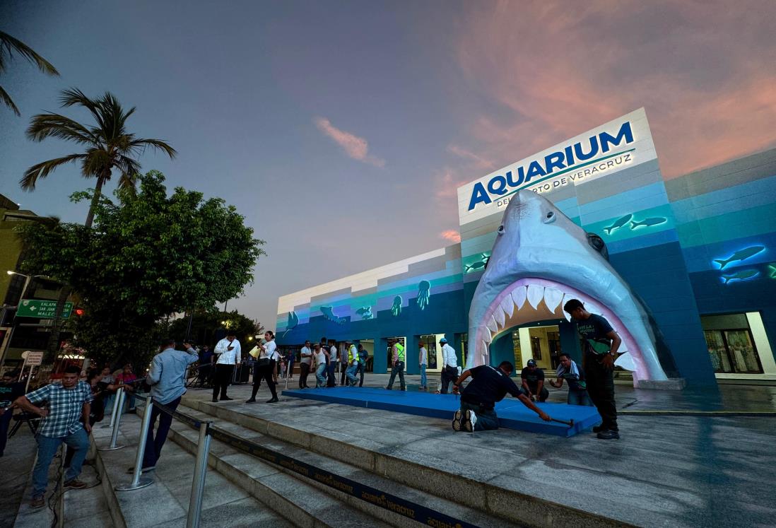 Aquarium de Veracruz: ¿Cuándo será el próximo martes de boletos gratis?