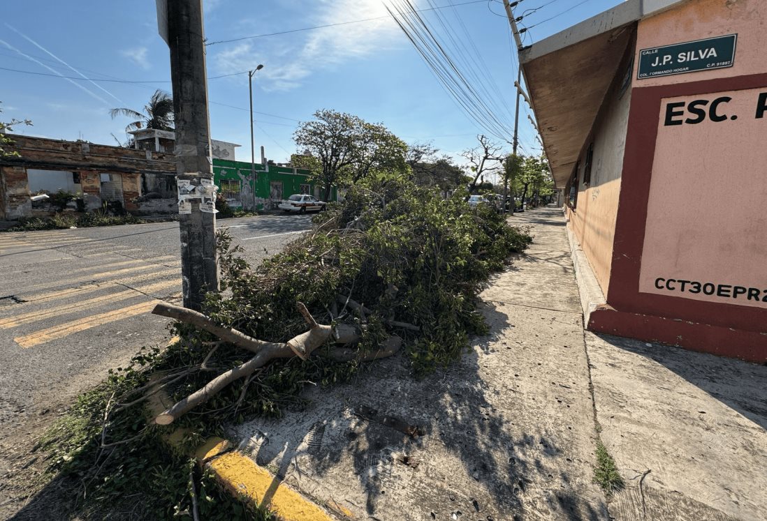 Vecinos denuncian tala ilegal y abandono de ramas en la colonia Formando Hogar