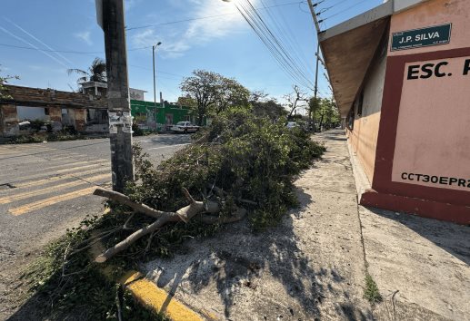 Vecinos denuncian tala ilegal y abandono de ramas en la colonia Formando Hogar