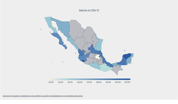 ¿Cuánto dinero gana un pescador en Veracruz al mes? Esto se sabe al respecto