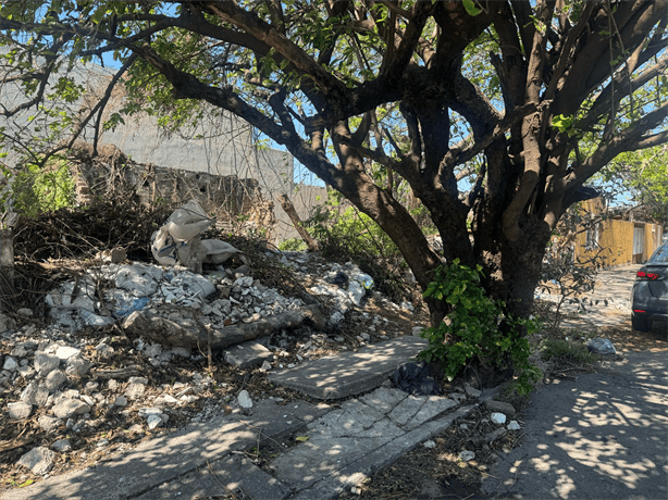 Terreno baldío en Veracruz convertido en basurero preocupa a vecinos