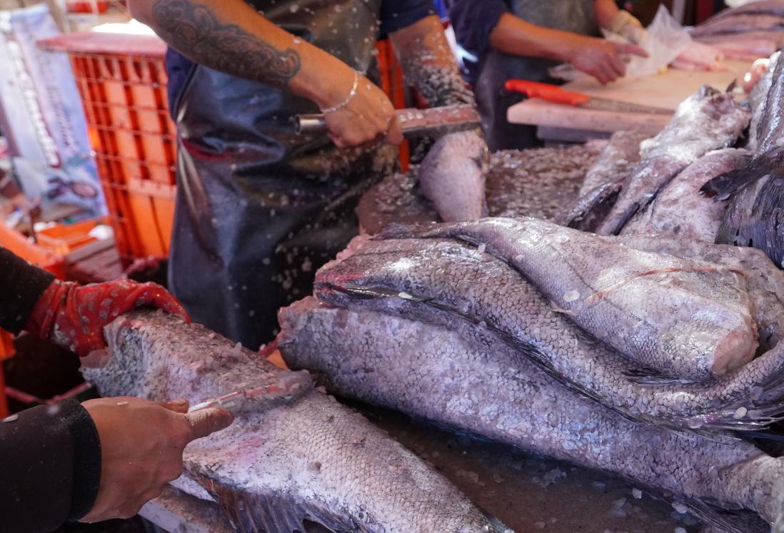 Pescadores de Veracruz prevén se dispare la demanda de mariscos por cuaresma